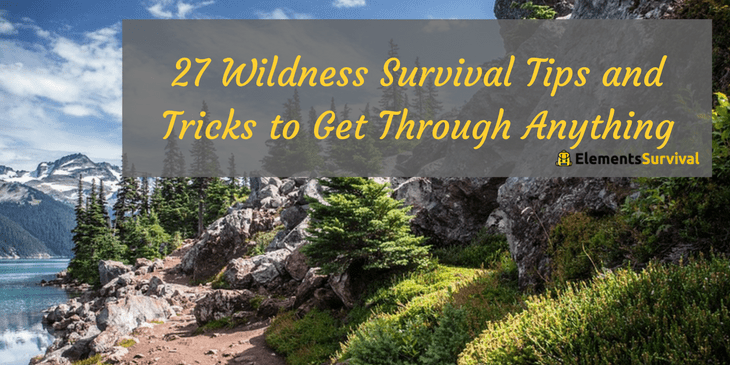 27 Wildness Survival Tips and Tricks to Get Through Anything